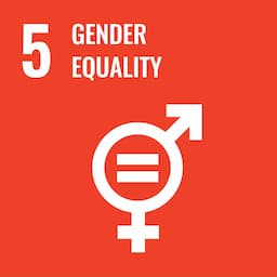 Gender Equality image